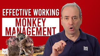 What is Monkey Management? How to Deal with a Monkey on Your Back screenshot 2