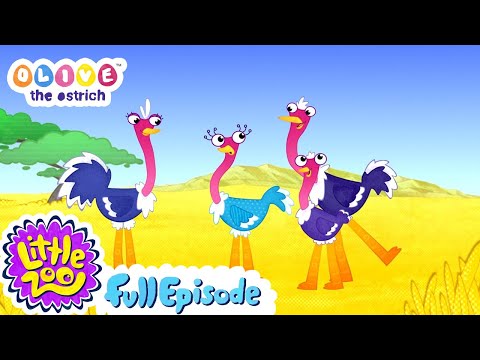 Olive the Ostrich