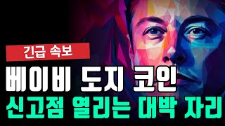 베이비도지코인 신고점 열리는 대박 자리!!