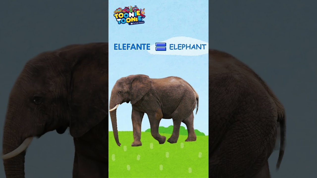 Learn Animals in Spanish | Spanish for Kids