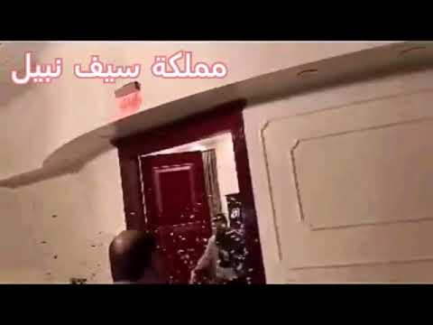 حفل عيد ميلاد الفنان سيف نبيل كامل ﻻ يفوتكم 2020