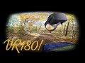 #VR180 Beautiful Autumn Color Drive thru October Forest in VR 4K 60fps!