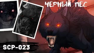 SCP - 023 Черный пес | Евклид | Способности, условия содержания, как появился