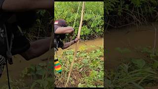Archery and beautiful birds sounds
