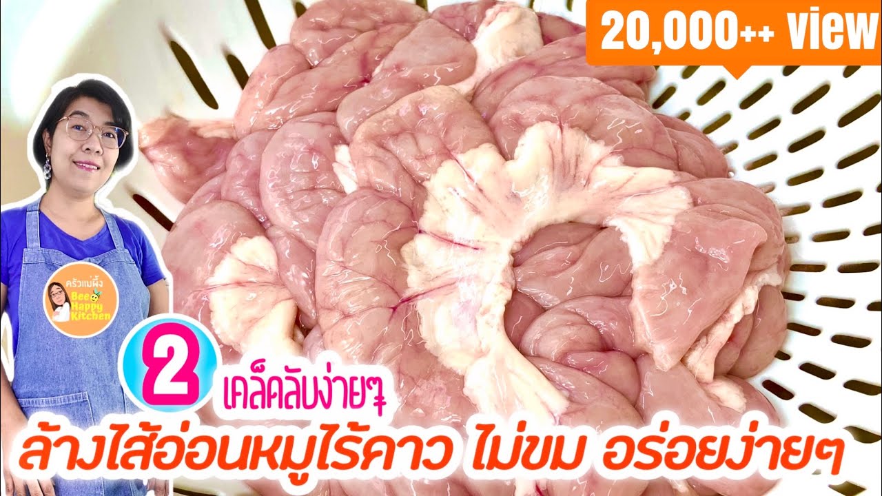 วิธีล้างไส้อ่อนหมู สะอาด ไร้คาว ไม่ขม ปรุงอาหารอร่อย เทคนิคเลือกไส้อ่อนสด|How to wash pork Intestine