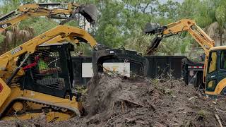 Emergency Tree Services | Sturgeons Lawn & Tree Services in Action