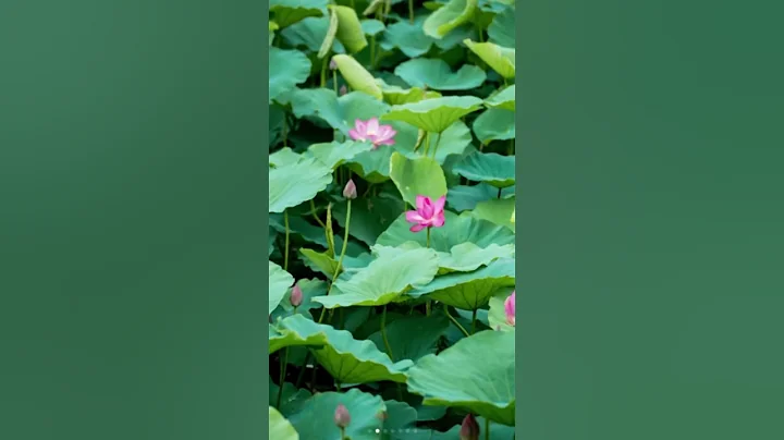 A journey to find the perfect "photo spots" in Lanting #Shaoxing! #chinatravel #travel #photography