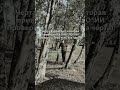 Черта характера, которая  приводить к ОНК*ЛО*ИИ(Проверь у тебя есть эта черта):