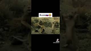 Harmanim Baba Nerde Carsafim Sarkisindan Russia Vc America.