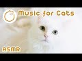 CAT MUSIC - Instant Cat Relaxation ASMR! 3HRS