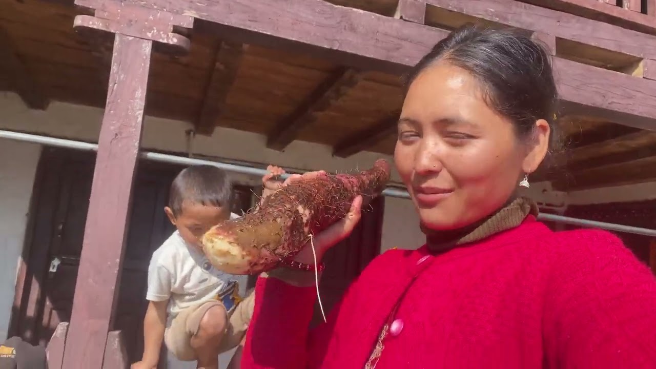 Tarul khanera khane kam voyo aaja kati garo hune raixa tarul khana 