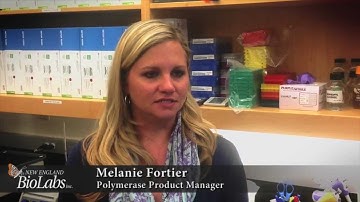 Important Tips for Working with Q5 Polymerase