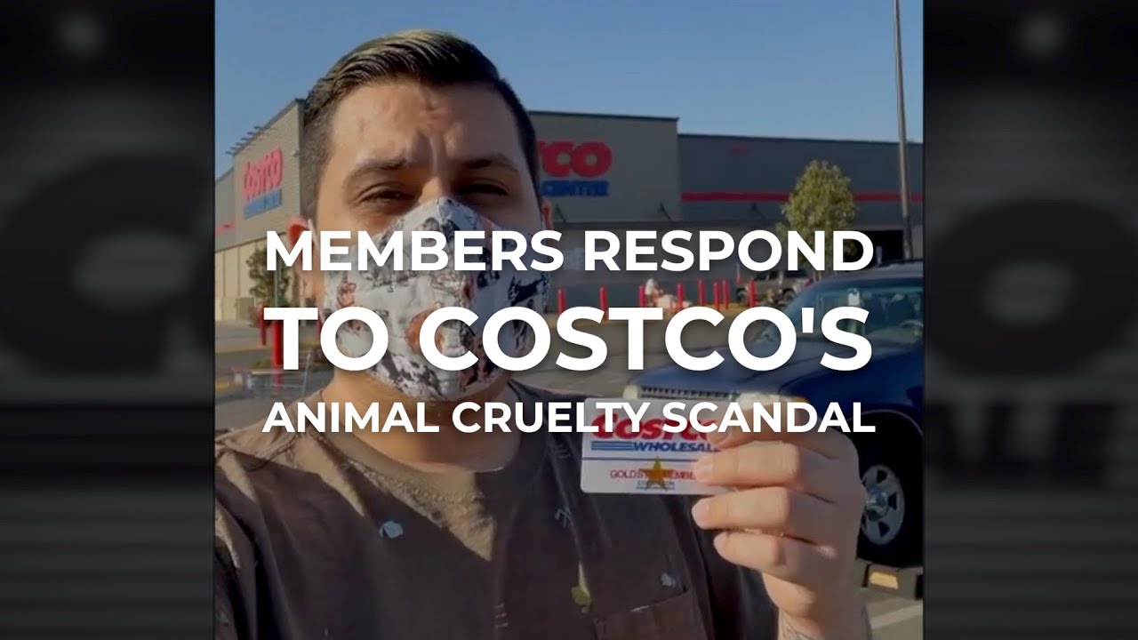 Costco members react to animal cruelty scandal ❘ The Humane League
