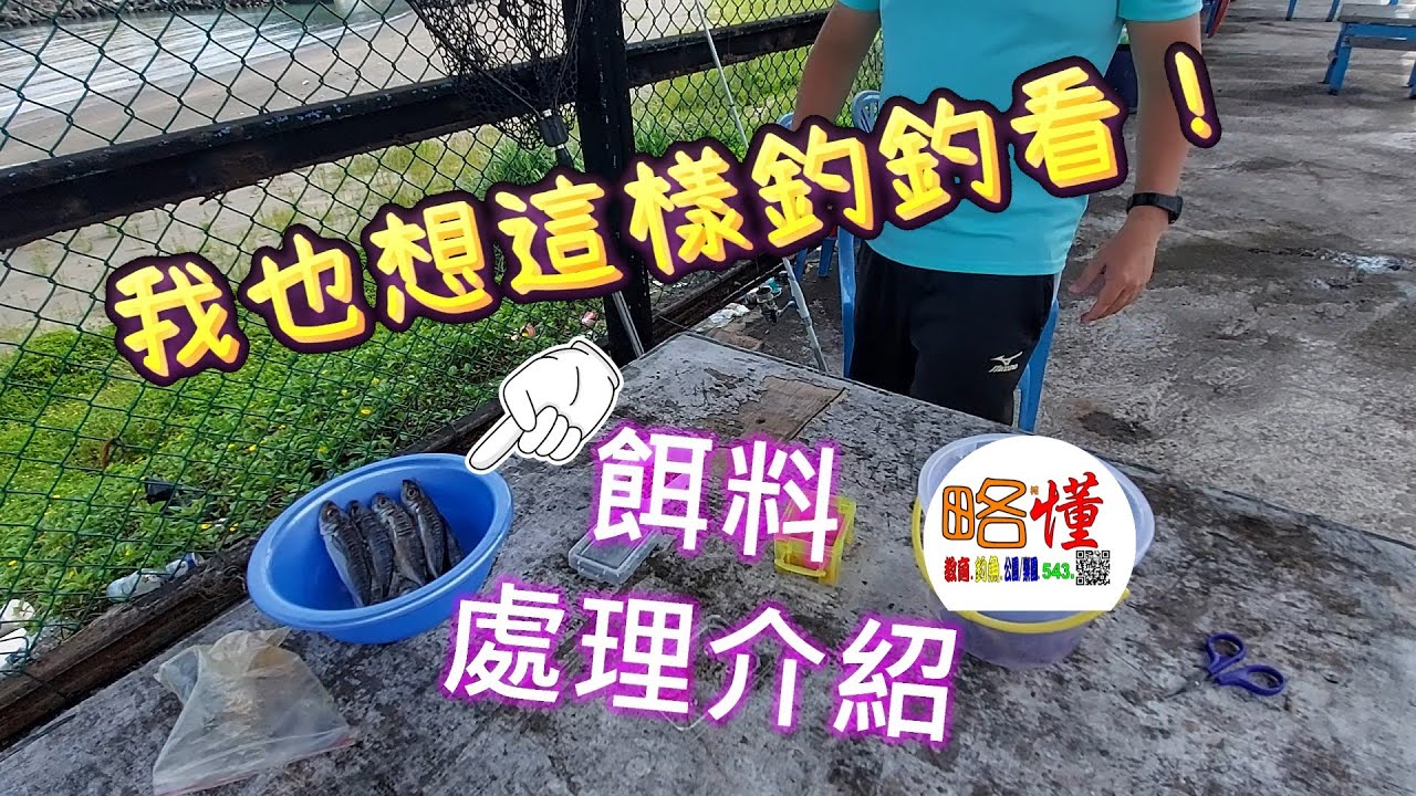 柯懂釣魚·教育｜我也想這樣釣釣看｜888海釣場｜魚肉餌處理與試釣！｜柯懂釣魚教育＃柯懂虛擬主播＃瑞生海釣場＃海釣場＃台湾釣り＃Taiwan fishing