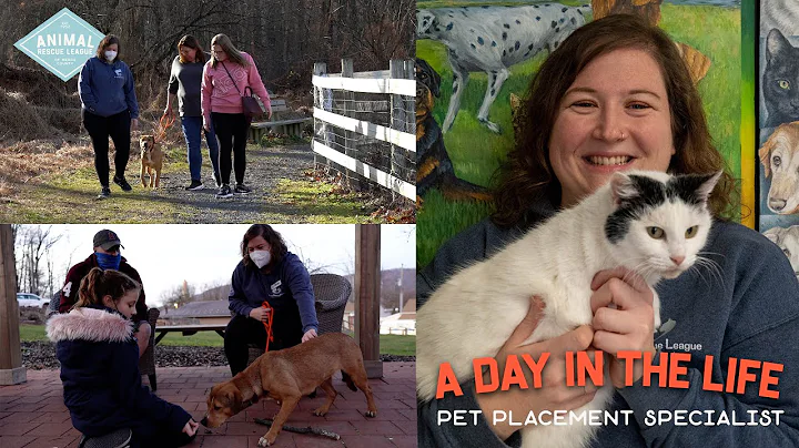 A Day in the Life - Pet Placement Specialist