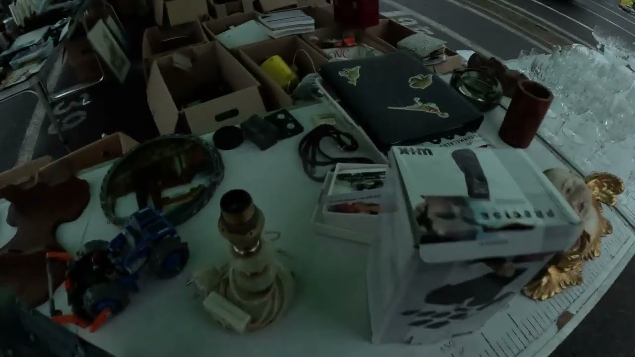 700 KM DEGEABA?! Târgul din Lugoj m-a lăsat mască…