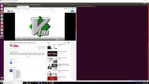 Vim and your vimrc file