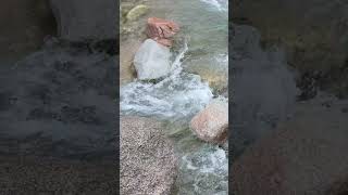 Hidden Spring Cascading Into Crystal Stream 🎧 Pure Water ASMR #asmr