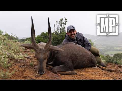 Eastern Cape of South Africa: Cape Bushbuck | Mark V. Peterson Hunting