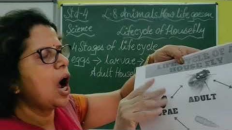 IV Science Chapter 8 Animals How life goes on Part 13