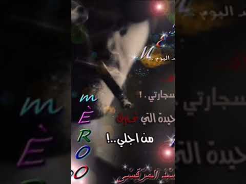 اعمل ايه في حكايه غايب حلها الاغنية كامله موجوده في القناة