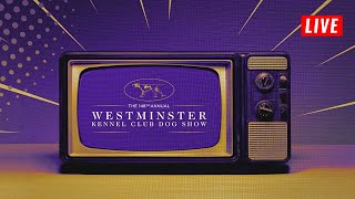 Westminster Dog Show Live | 148th Annual Westminster Kennel Club Dog Show Live Full Show