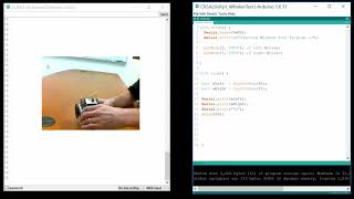 6.2 - Testing the Touch Sensor Whiskers