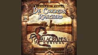 Video thumbnail of "Alacranes Musical - Santiago Papasquiaro (feat. Conjunto Atardecer)"