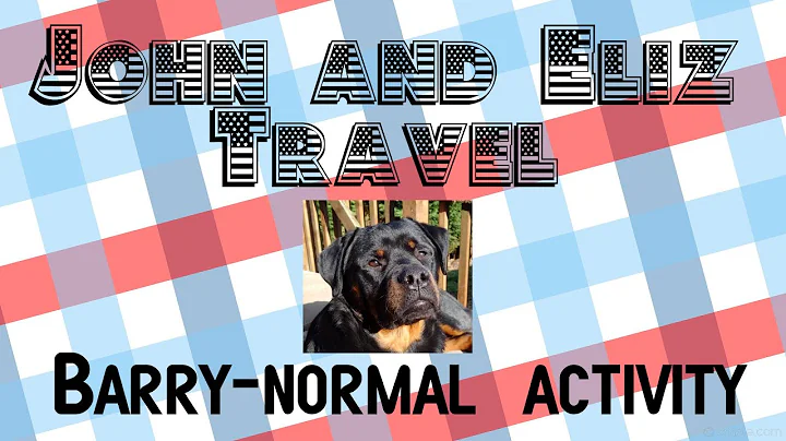 Strange goings on explained ... the joy of dogs!!