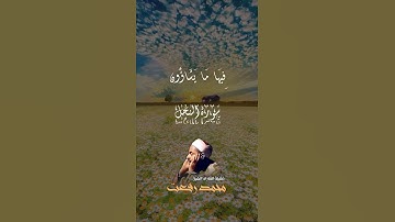 #محمدرفعت #راحة_نفسية سورة النحل