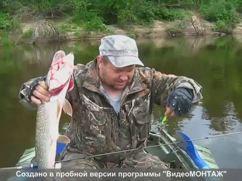 Река Ветлуга (с Поташное) Река Ветлуга (с Поташное)