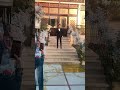 دخله العريس Wedding Arabwedding Danceremix Egyptianmusic Dancesong 