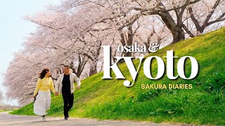 Peak Sakura in Kyoto 🌸 Sewaritei Riverside Festival & Fushimi Canal Boat Views | Japan Travel Vlog