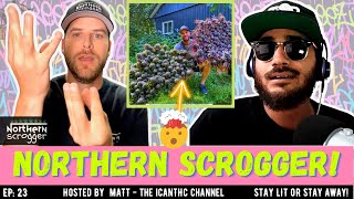 EXPERT ADVICE TO TRIPLE YIELD GUARANTEED! 🔥   Talkin' Loud! Podcast Ep23