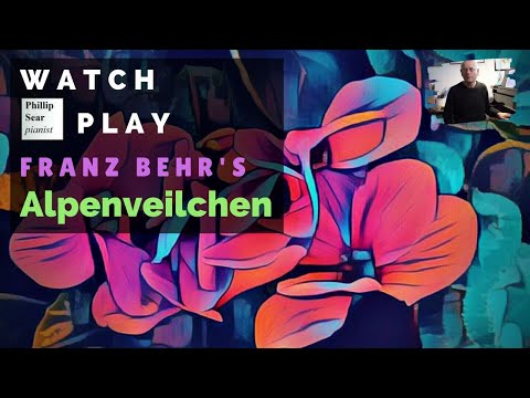 Franz Behr: Alpenveilchen