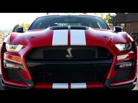2020 Shelby GT500 || Available now