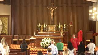 Daily Mass