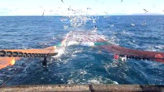 Onboard a commercial fishing trawler NW Scotland