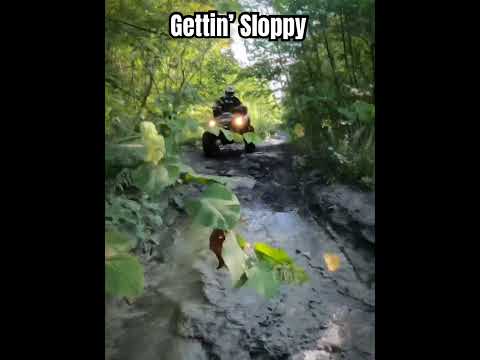 Yamaha Grizzly 660 Gettin’ Sloppy #shorts #atv