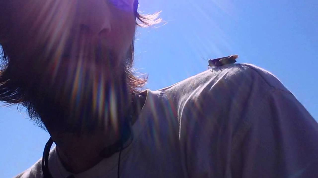 Из святых мест Монголии и ацкой Гоби