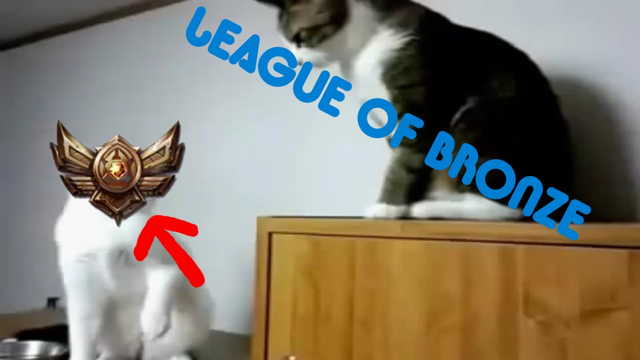 pvp соль LEAGUE OF BRONZE ~ [League of Legends Parody]