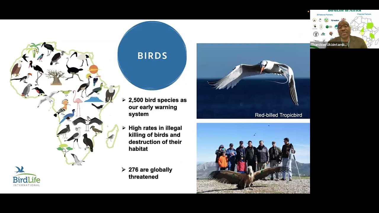 BirdLife Africa with Tharcisse Ukizintambara