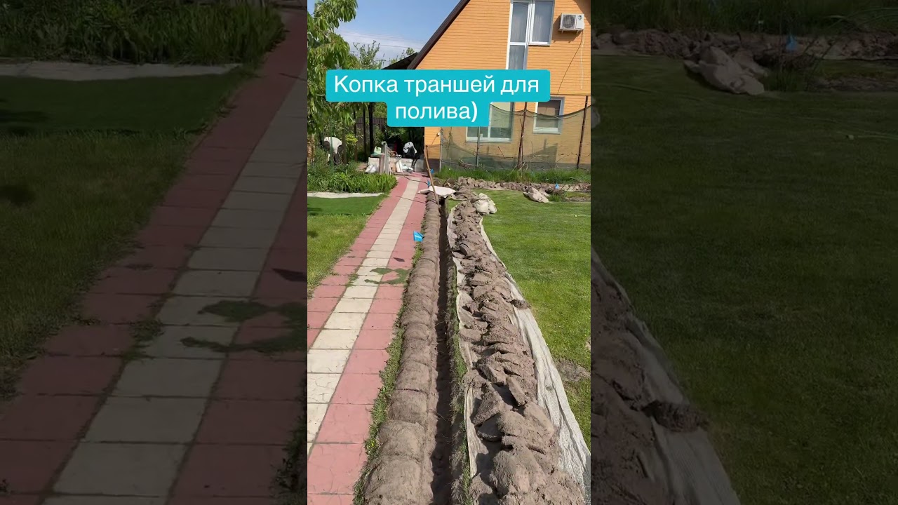 Копка траншей для полива) 