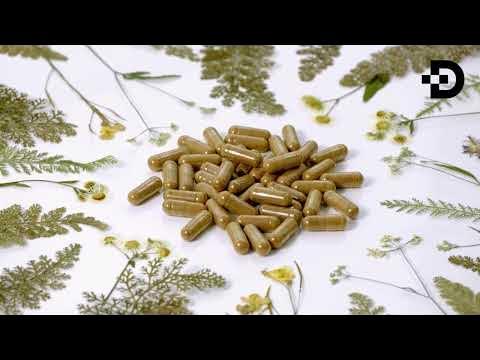 Жводни видео секс