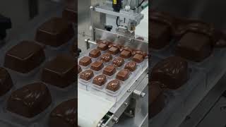 🍫 चॉकलेट बनाने वाली शानदार मशीन | मिनटों में तैयार होती है स्वादिष्ट चॉकलेट!