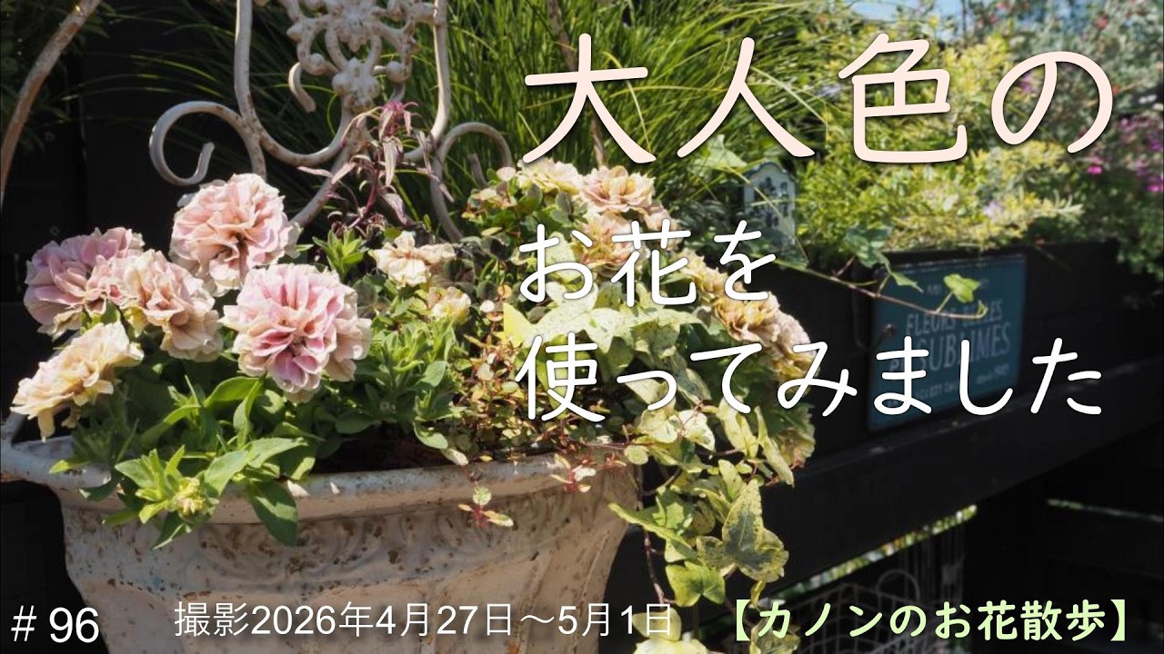 96 心癒す春庭のお花と落ち着いた彩りの寄せ植え作り - YouTube