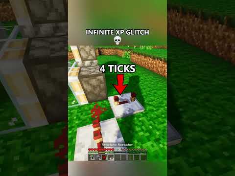 INFINITE XP GLITCH😭