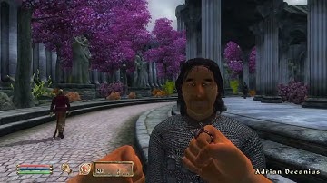 Day 922 - Killing Adoring Fan Every Day Until Elder Scrolls Skyblivion is Released