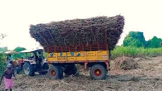 Hindustan Tractor vs Swaraj Tractor sugarcane load pickup