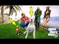 ÖLEN PİTBULLUM PAŞANIN TORUNU LOKMA(YENİ KÖPEK) - GTA 5 FARUK'UN HAYATI